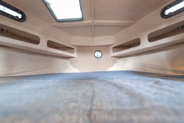 Slide: The Image of Kingfisher GFX 3225 2026 - 23