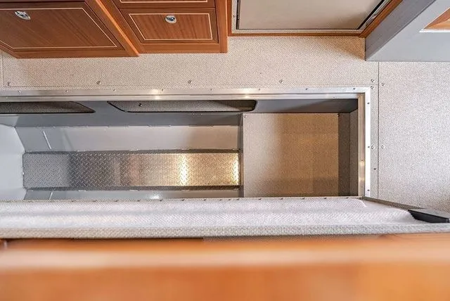 Slide: The Image of Kingfisher GFX 3225 2026 - 27