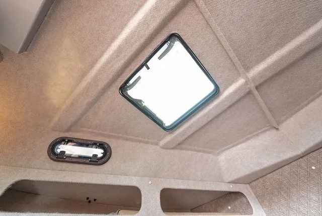 Slide: The Image of Kingfisher GFX 3225 2026 - 29