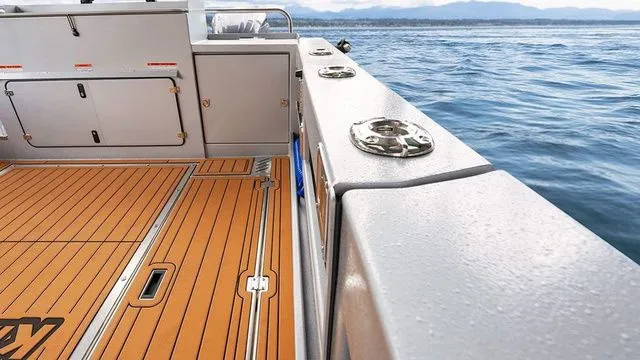 Slide: The Image of Kingfisher GFX 3225 2026 - 35