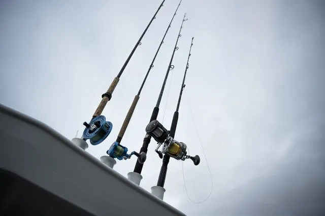 Slide: The Image of Kingfisher 23 XAC 2026 - 14