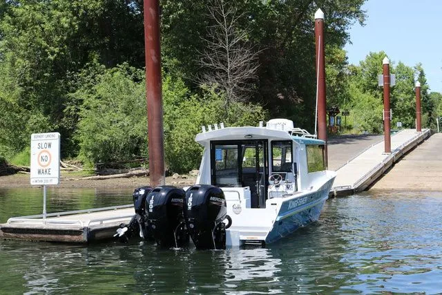 Slide: The Image of Kingfisher 25 XAC 2026 - 3