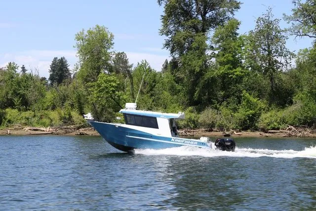 The Image of Kingfisher XAC 25 2026 - 1