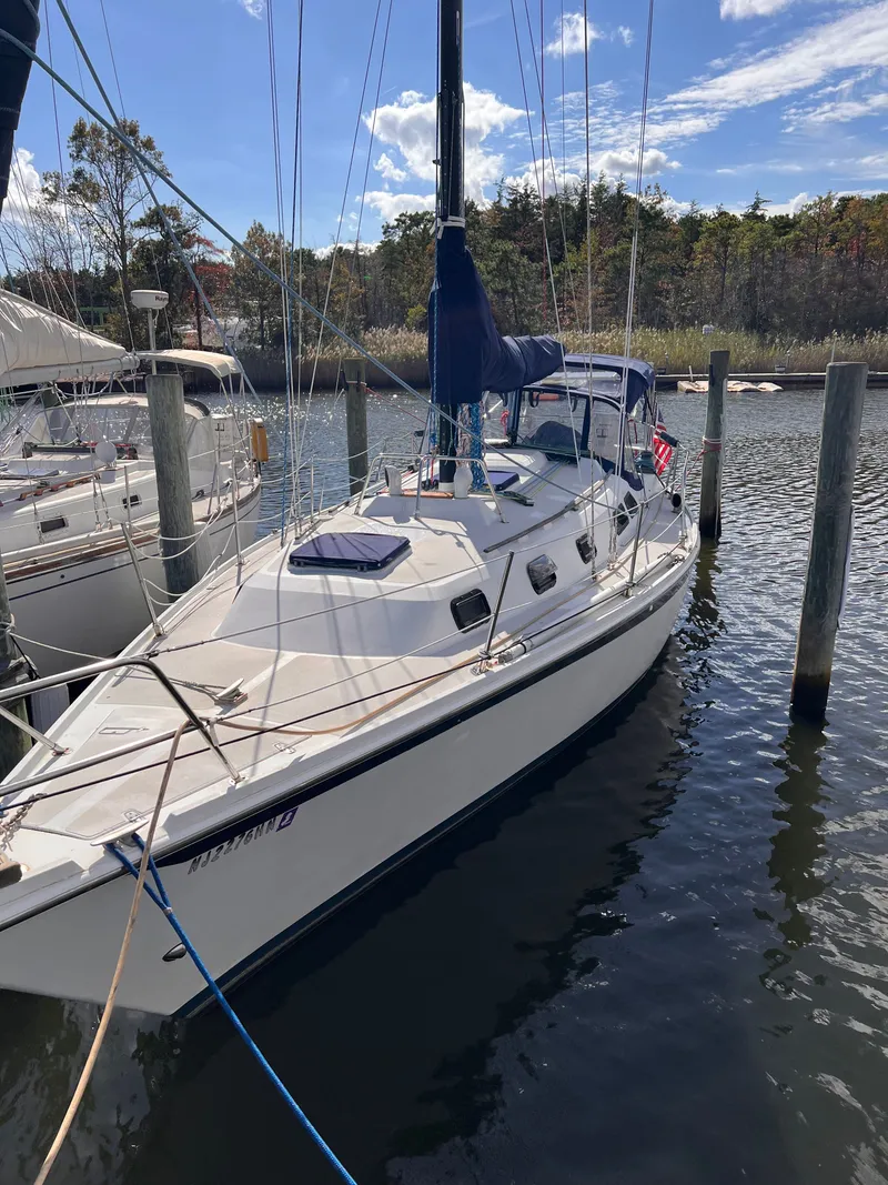 The Image of 1981 Ericson 38 sailboat docked in a marina under a clear blue sky. - 0
