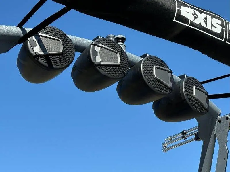 Slide: The Image of Axis T250 2026 - 49