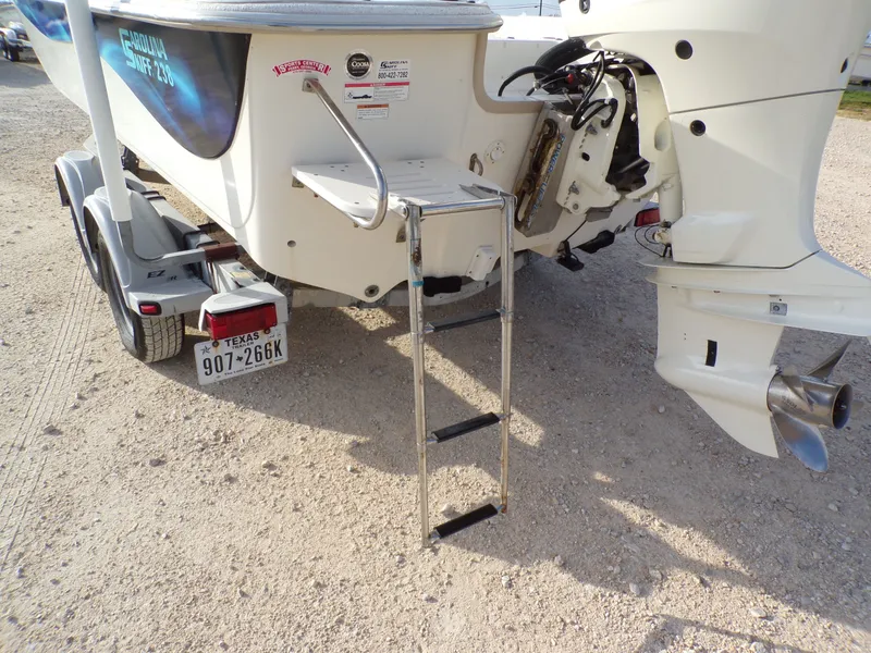 Slide: The Image of Carolina 238 DLV 2018 - 25