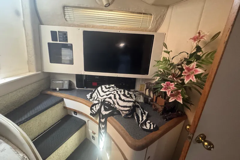 Slide: The Image of Interior of 1995 Sea Ray 500 Sundancer with TV, flowers, and zebra-patterned blanket. - 8