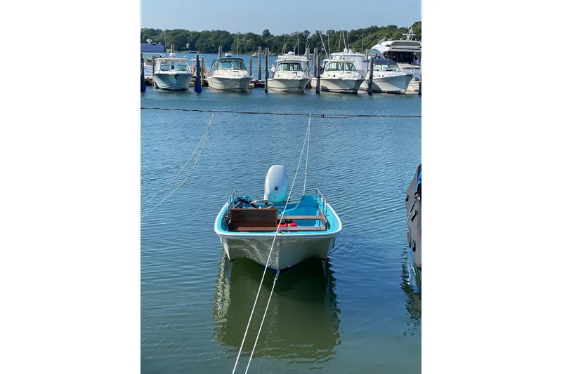 The Image of 1965 Boston Whaler Sakonett boat docked in a marina with other vessels. - 1