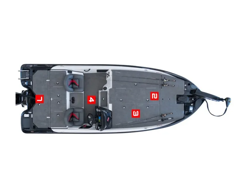 The Image of Bass Cat Pantera Classic 2024 - 1