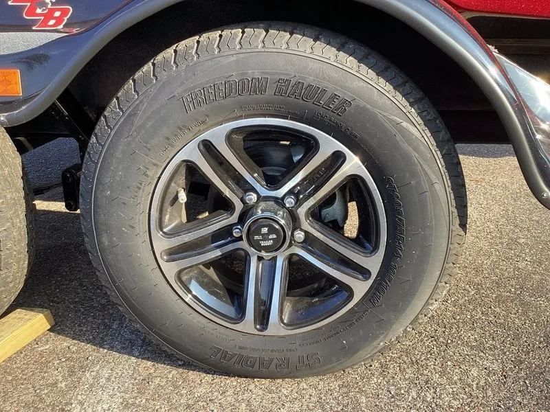 Slide: The Image of Bass Cat Pantera Classic 2024 - 43