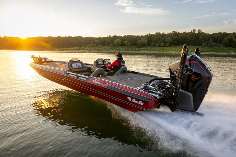 The Image of Bass Cat Jaguar STS 2026 - 1