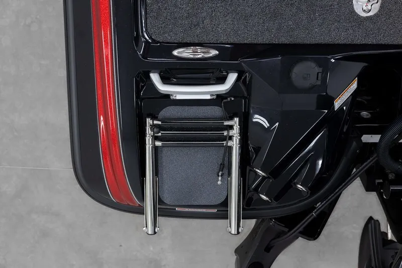 Slide: The Image of Bass Cat Jaguar STS 2026 - 8