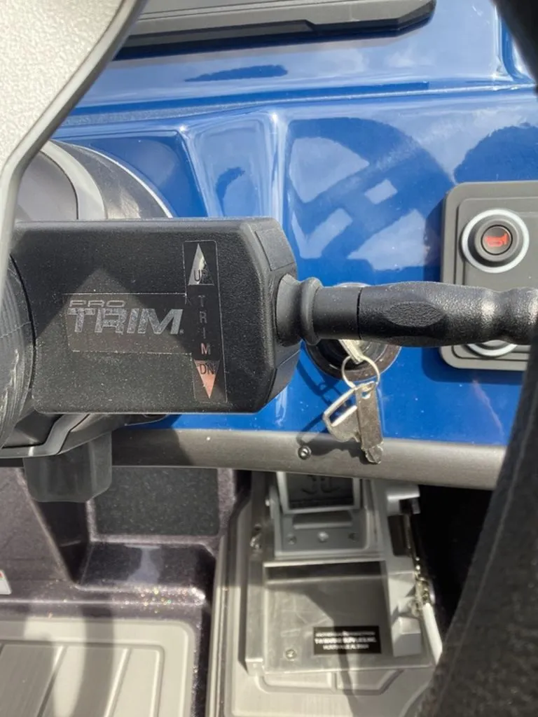 Slide: The Image of Bass Cat Lynx STS 2026 - 49