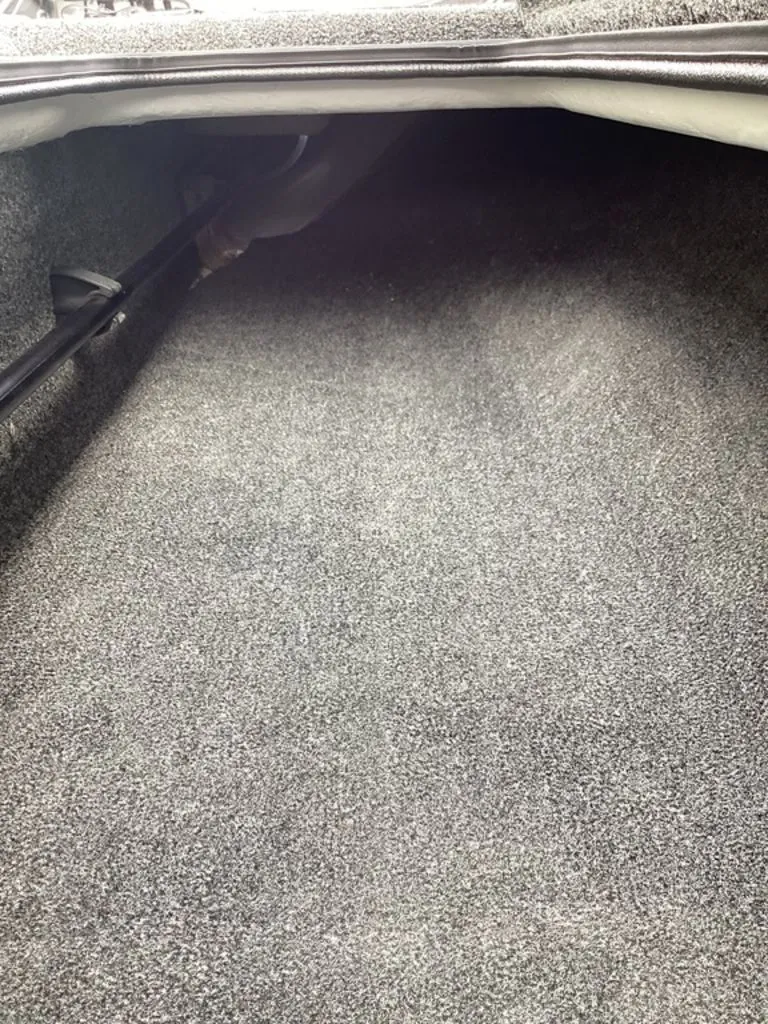 Slide: The Image of Bass Cat Lynx STS 2026 - 65