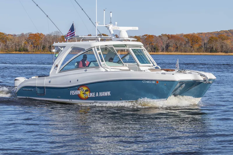 The Image of World Cat 320 DC 2019 - 0