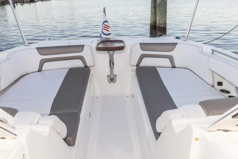 Slide: The Image of World Cat 320 DC 2019 - 3