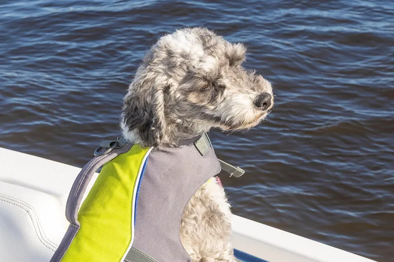 Slide: The Image of First Mate at Lookout - 32