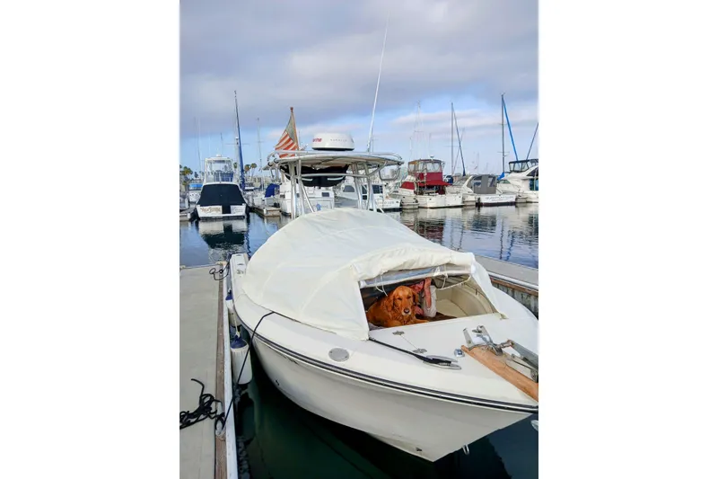 Slide: The Image of 2017 Cobia T-Top boat docked with a dog onboard, surrounded by other boats. - 11
