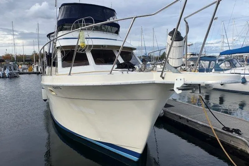 Slide: The Image of 1987 Tollycraft 34 Sundeck Motor Yacht docked in a marina, front view. - 4
