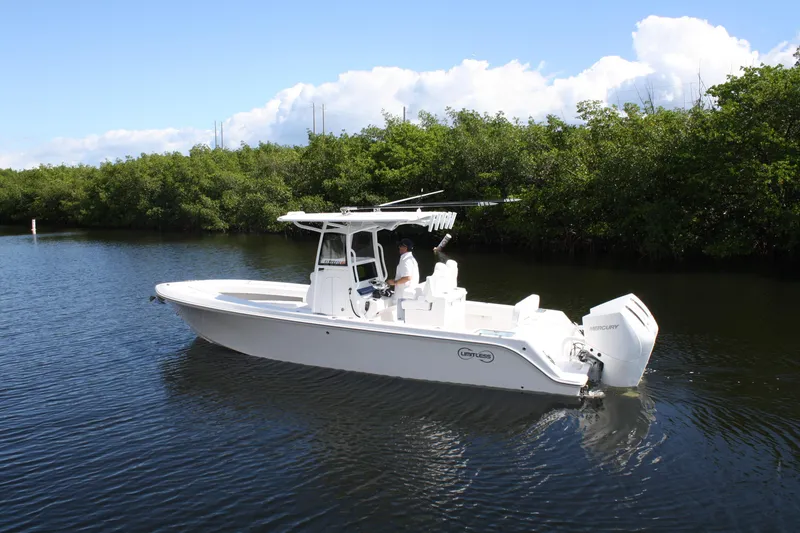 Slide: The Image of 2026 Limitless 270 CC - 6