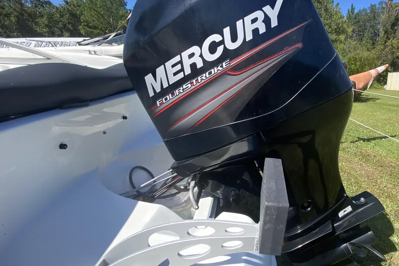 Slide: The Image of Mercury FourStroke engine on 2016 Caravelle 16 EBo boat, outdoor setting. - 9