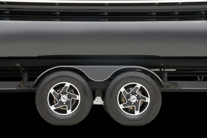 Slide: The Image of Ranger Reata 223F 2025 - 69