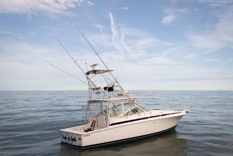 The Image of 1998 Bertram 36 Moppie boat on calm ocean under clear sky. - 0