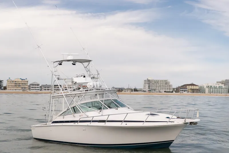 Slide: The Image of 1998 Bertram 36 Moppie boat on calm water near a coastal cityscape. - 2