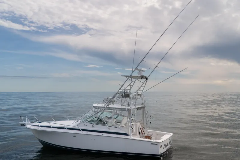 Slide: The Image of 1998 Bertram 36 Moppie boat on calm ocean under cloudy sky. - 4
