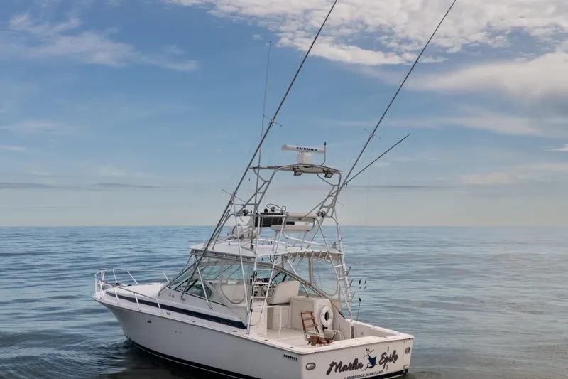 Slide: The Image of 1998 Bertram 36 Moppie boat on calm ocean under blue sky. - 5