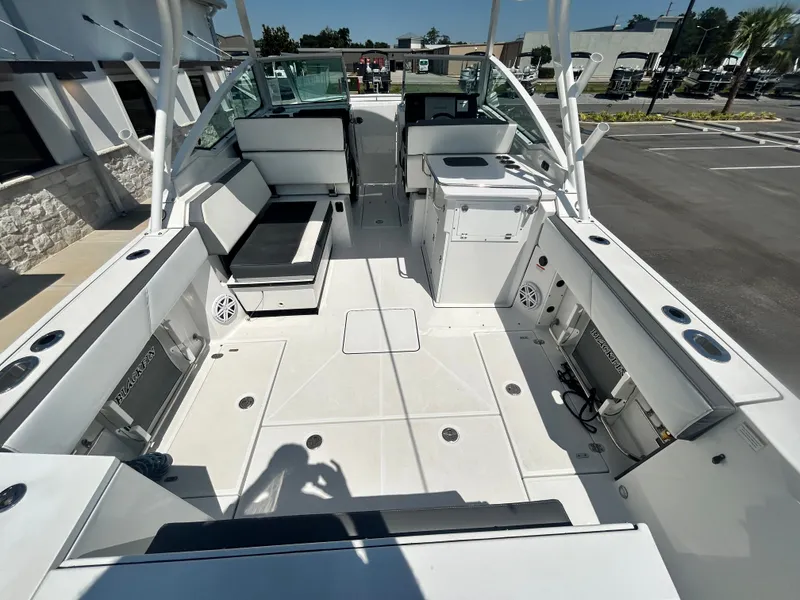 Slide: The Image of Blackfin 272 DC 2019 - 27