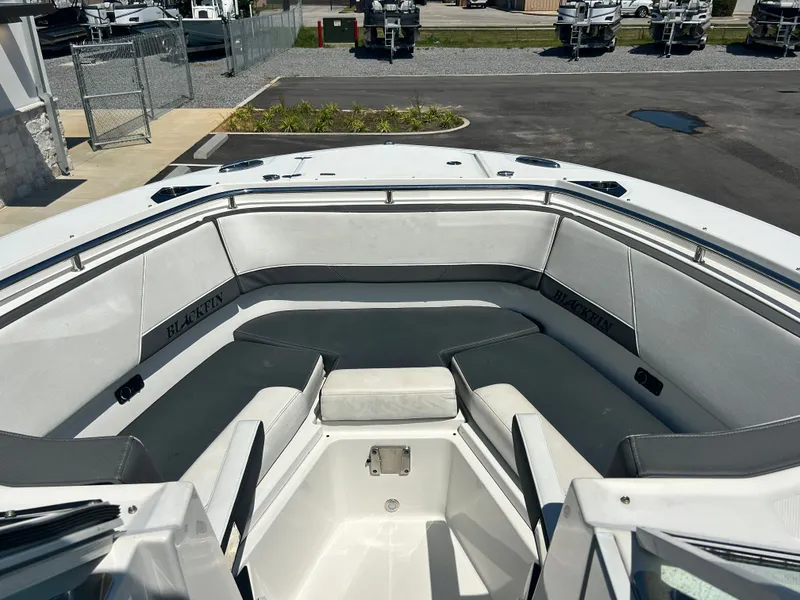 Slide: The Image of Blackfin 272 DC 2019 - 10