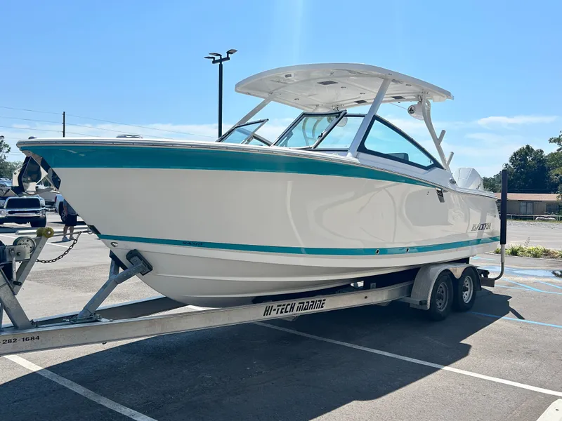 Slide: The Image of Blackfin 272 DC 2019 - 6