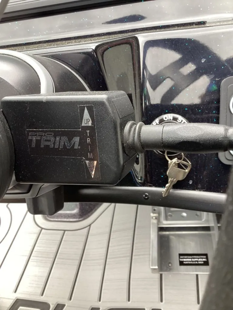 Slide: The Image of Bass Cat Cougar FTD SP 2026 - 41