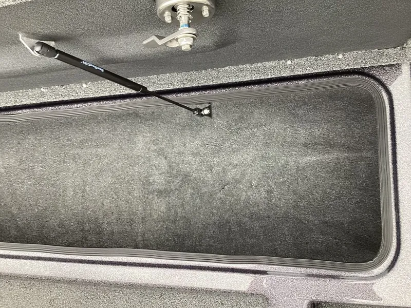 Slide: The Image of Bass Cat Cougar FTD SP 2026 - 56