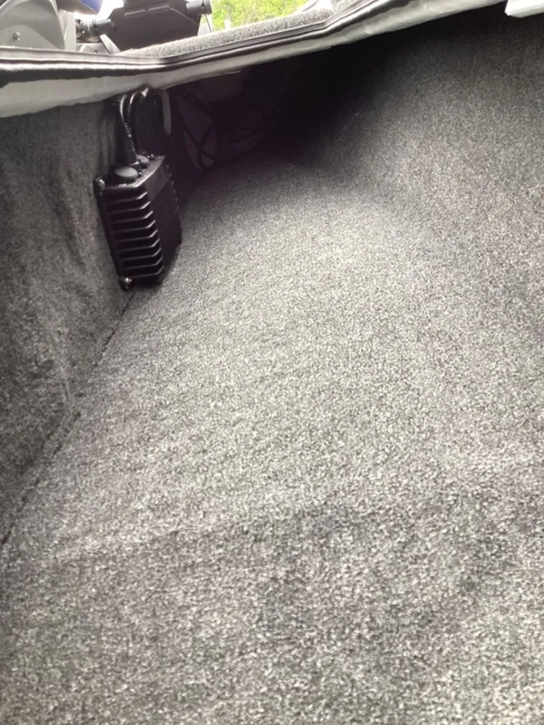 Slide: The Image of Bass Cat Cougar FTD SP 2026 - 58