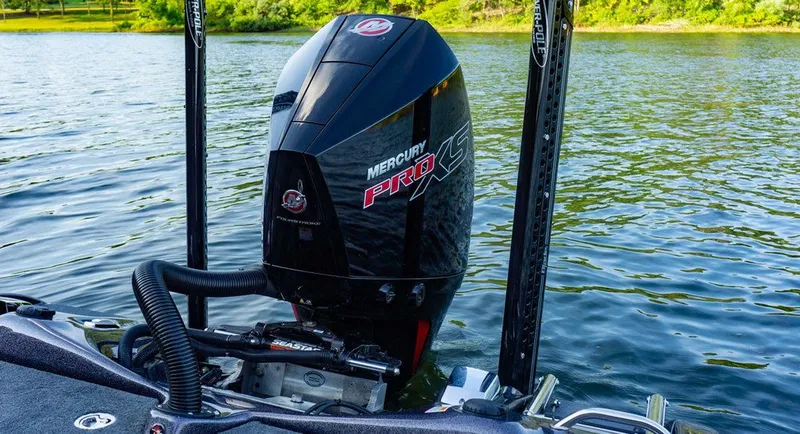 Slide: The Image of Bass Cat Cougar FTD SP 2026 - 7