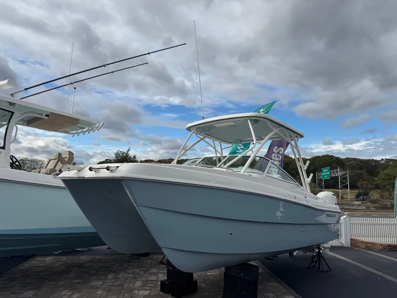 The Image of World Cat 230 SD 2026 - 1