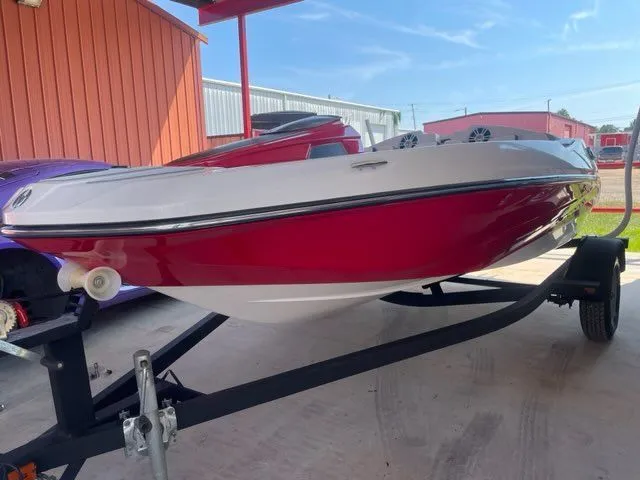 The Image of Scarab 165 2016 - 1