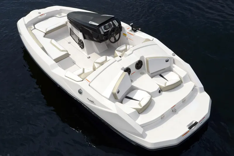 Slide: The Image of Scarab 165 2016 - 13