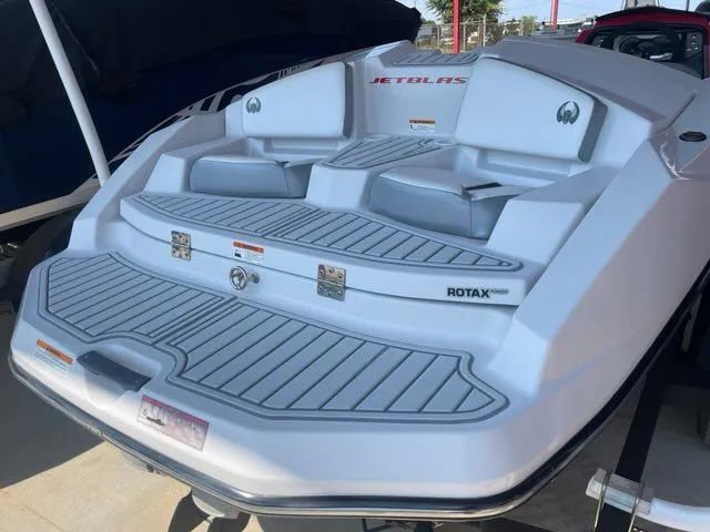 Slide: The Image of Scarab 165 2016 - 3