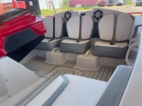 Slide: The Image of Scarab 165 2016 - 5