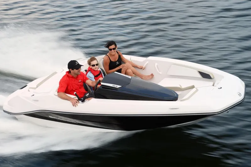 Slide: The Image of Scarab 165 2016 - 9