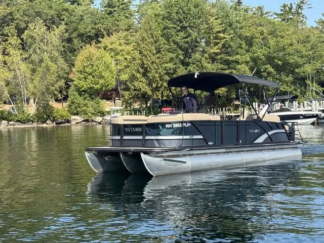 Slide: The Image of Sylvan L5 CLZ DH 2025 - 12