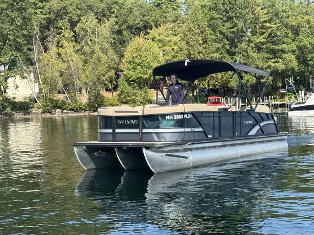 Slide: The Image of Sylvan L5 CLZ DH 2025 - 13