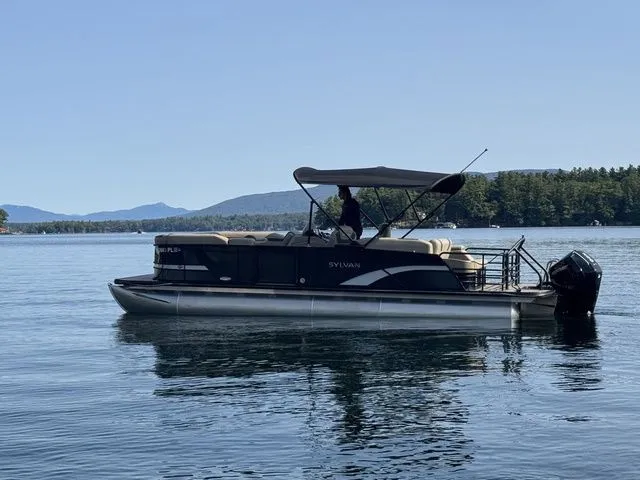 Slide: The Image of Sylvan L5 CLZ DH 2025 - 8