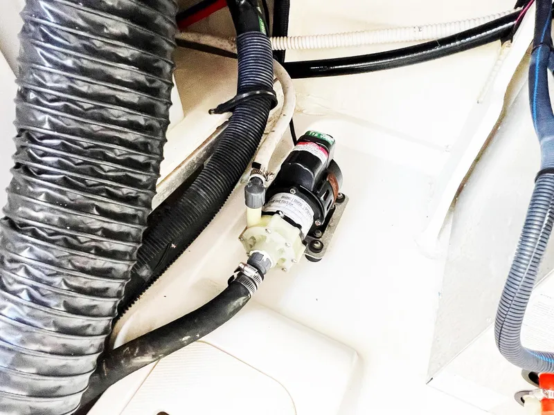 Slide: The Image of Sea Ray Sundancer 320 Outboard 2019 - 52