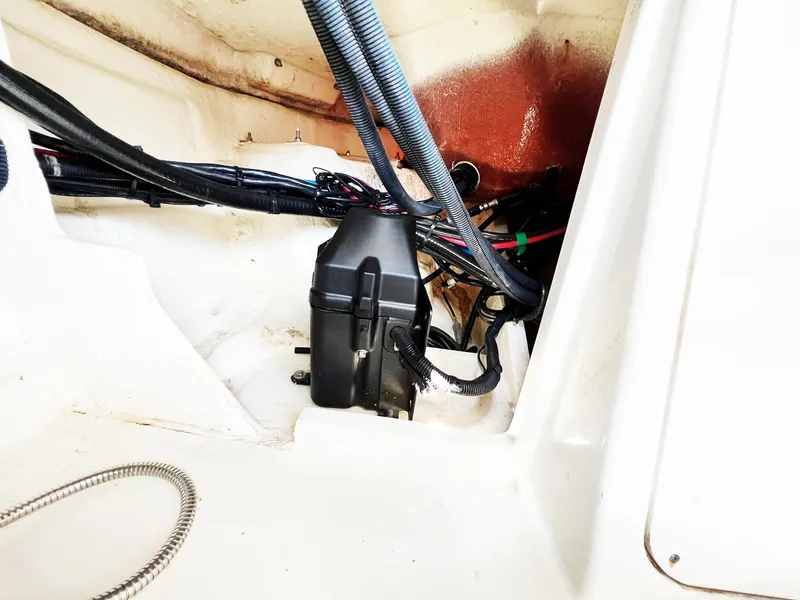 Slide: The Image of Sea Ray Sundancer 320 Outboard 2019 - 53