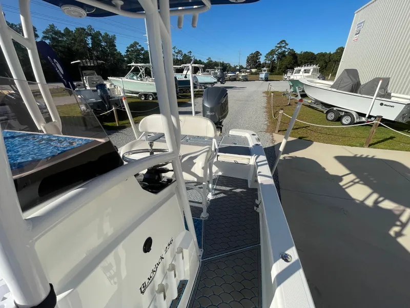 Slide: The Image of Blackjack 256 Bay 2020 - 16