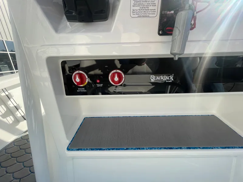 Slide: The Image of Blackjack 256 Bay 2020 - 23